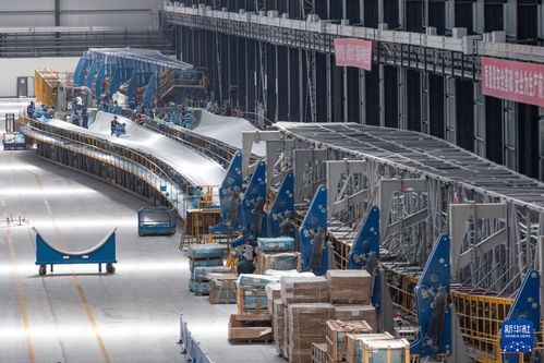 新时代中国调研行·看区域 | 东北智造 通信技术驱动振兴新动能